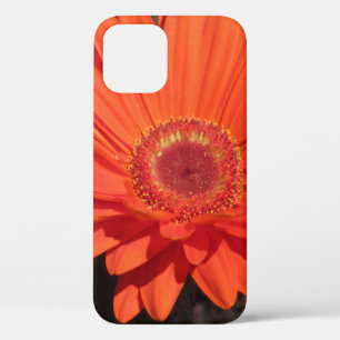 Case-Mate iPhone Case Fleur de marguerite orange vif