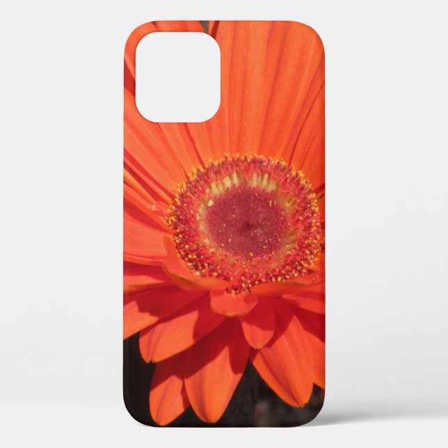 Coques Case-Mate iPhone Fleur de marguerite orange vif (Verso)