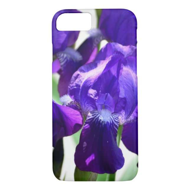 Coques Case-Mate iPhone Fleur Iris Iris Violet (Dos)