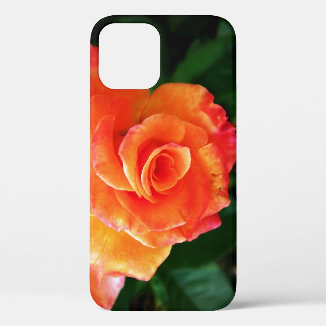 Coques Case-Mate iPhone Fleur rose orange (Verso)