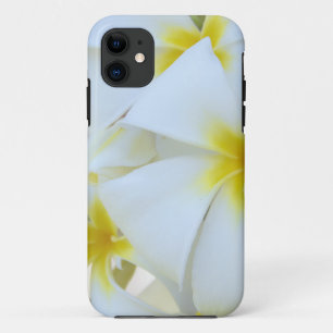 Coque iPhone 11 Fleurs blanches de Plumeria