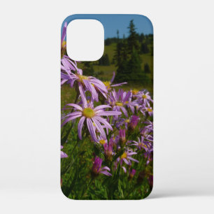 Case-Mate iPhone Case Fleurs d'aster violettes au mont Rainier