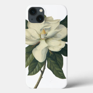 Etui iPhone 13 Fleurs de fleurs vintages de Magnolia Blanche en f