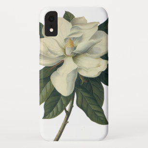 Coque Pour iPhone XR Fleurs de fleurs vintages de Magnolia Blanche en f