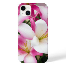 fleurs de lys blanc et rose