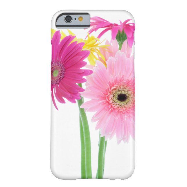 Coques Case-Mate iPhone Fleurs de marguerite de Gerbera (Dos)