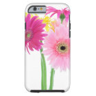 Fleurs de marguerite de Gerbera