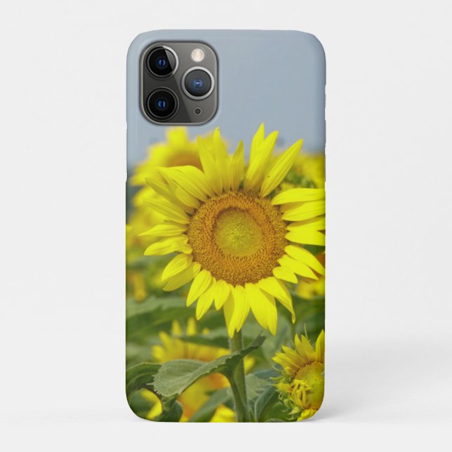 Coques Case-Mate iPhone Fleurs de soleil (Dos)