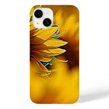 Fleurs du désert