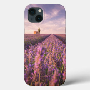 Case-Mate iPhone Case Fleurs   Lavande Sud France