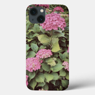 Etui iPhone 13 Fleurs roses Photo Apple iPhone 7, Tough Xtreme