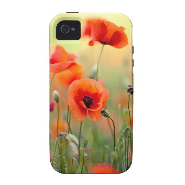 Coques Case-Mate iPhone Fleurs rouges de pavot (Dos)