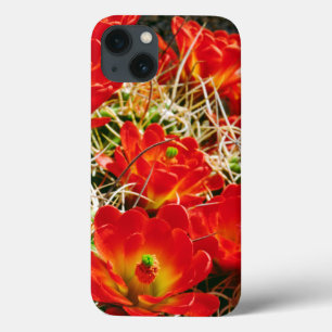 Etui iPhone Case-Mate Fleurs sauvages de cactus Coupe Claret