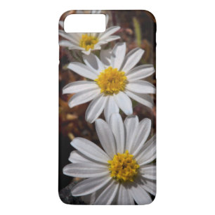 Coques Pour iPhone Fleurs sauvages du Desert Star