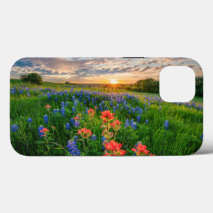 Case-Mate iPhone Case Fleurs   Texas Bluebonnets & Indian Paintbrush