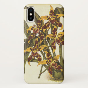 Coque iPhone X Fleurs vintages Tropicales Odontoglossum Orchidées