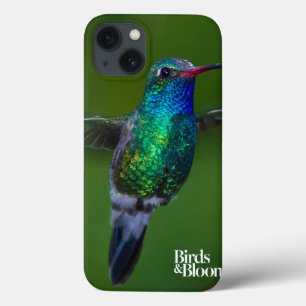 iPhone 13 Coque Floating Hummingbird