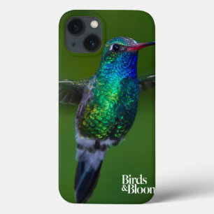 Etui iPhone 13 Floating Hummingbird