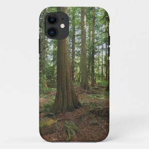 Etui iPhone Case-Mate Forêt verte Bois Arbre Nature Photo