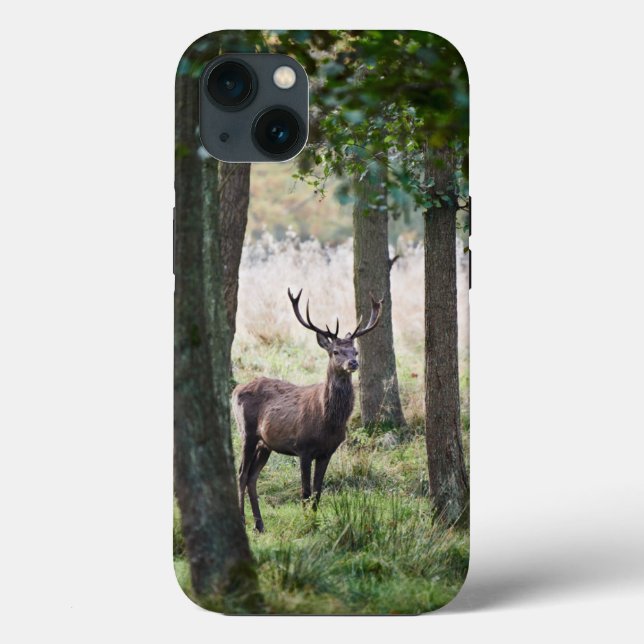 Coques Case-Mate iPhone Forêt | Woodlands & Red Deer (Verso)