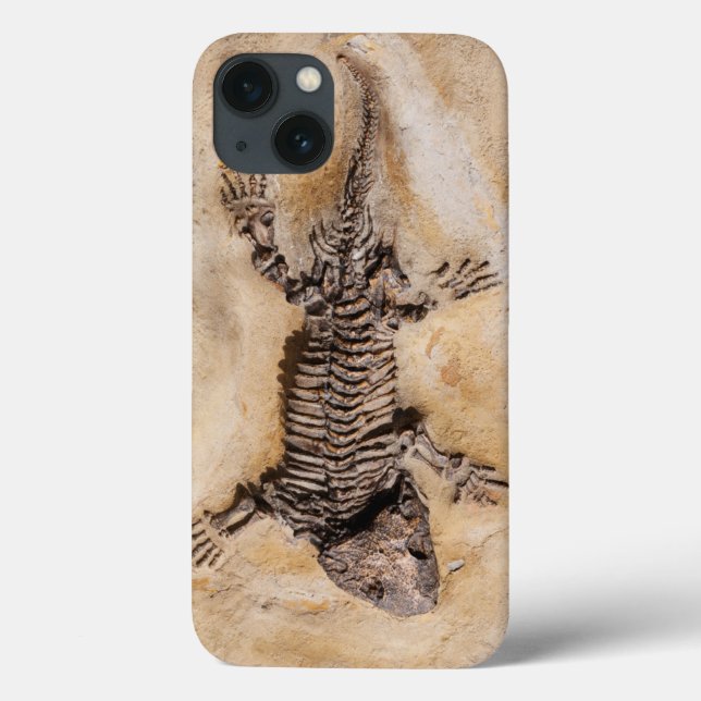 Coques Case-Mate iPhone Fossile de dinosaure antique en pierre (Verso)