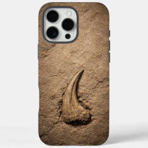 Fossile de griffe de Raptor