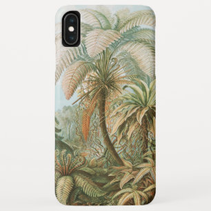 Case-Mate iPhone Case Fougères, Filicinae Laubfarne par Ernst Haeckel