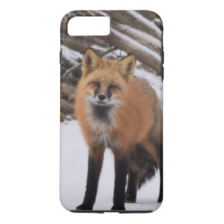 Coque iPhone 7 Plus Fox