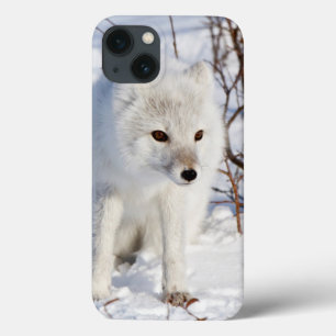 Etui iPhone Case-Mate Fox arctique, région de gestion de faune de