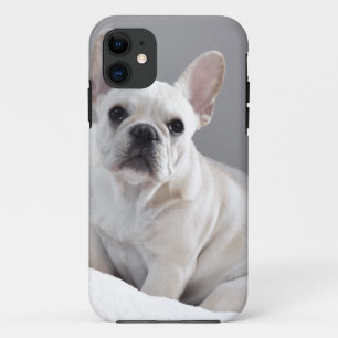 Coques Pour iPhone Frenchie crème