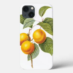 iPhone 13 Case Fruit Alimentaire Ancien, Abricot Pêche par Redout