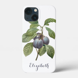 iPhone 13 Mini Coque Fruits alimentaires vintage, prunes de jardin viol