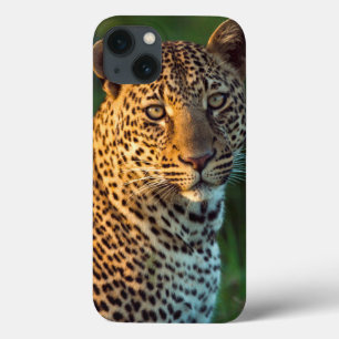 Coques Pour iPhone Full-Grown Cub