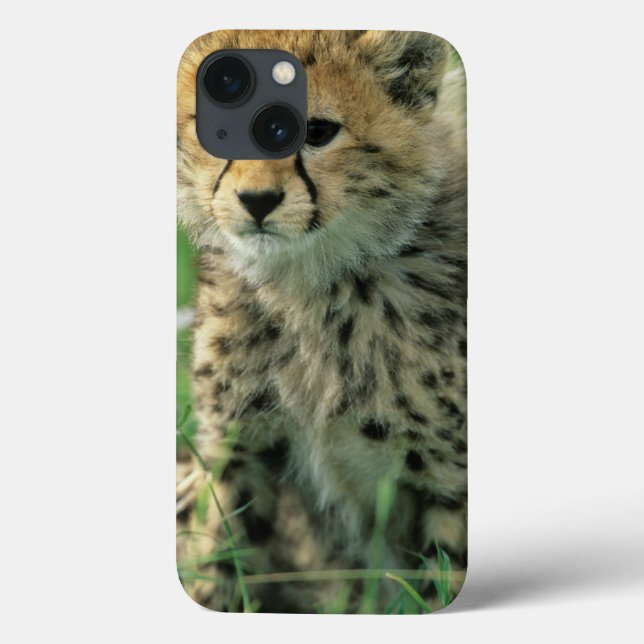Coques Case-Mate iPhone Fuzzy Cheetah Cub (Verso)