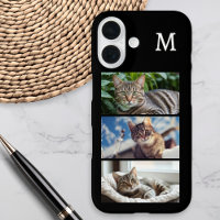 Galerie de photos d'animaux pour amateur de chats 
