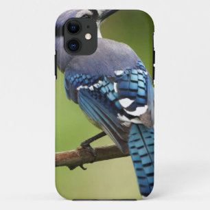 Case-Mate iPhone Case Geai bleu pensant à vous papa de maman de famille