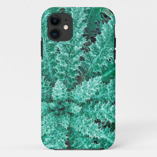 Coques Pour iPhone Gelée sur chardon, Parc national Olympique