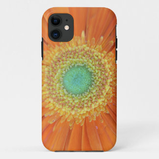 Coque Case-Mate Pour iPhone Gerbera Sun