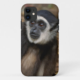 Coques Pour iPhone Gibbon (Hylobates Lar) à poitrine blanche, singe