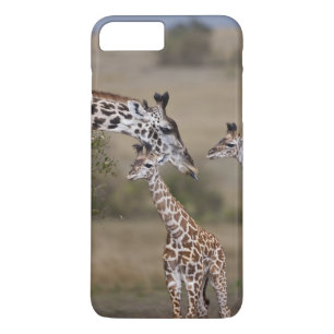 Coque iPhone 8 Plus/7 Plus Girafe maasaï (Giraffa tippelskirchi)