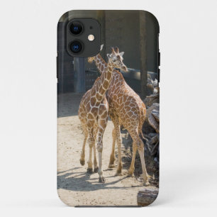 Case-Mate iPhone Case girafes