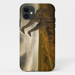 Coque iPhone 11 Girafes et le paysage