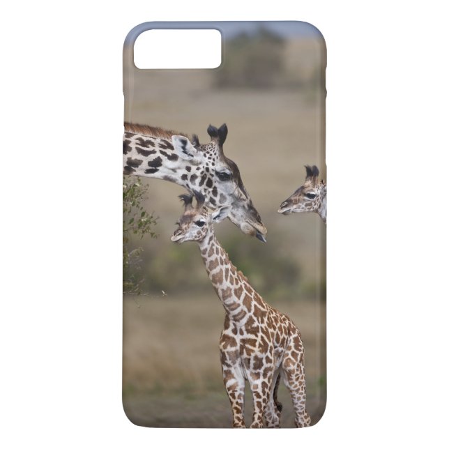 Coques Case-Mate iPhone Giraffe Masaï (Giraffe Tippelskirchi) (Dos)