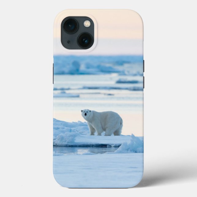 Coques Case-Mate iPhone Glace et neige | Ours polaire Iceberg Norvège (Verso)