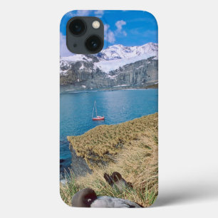 iPhone 13 Coque Glaciers and sailing yacht in background