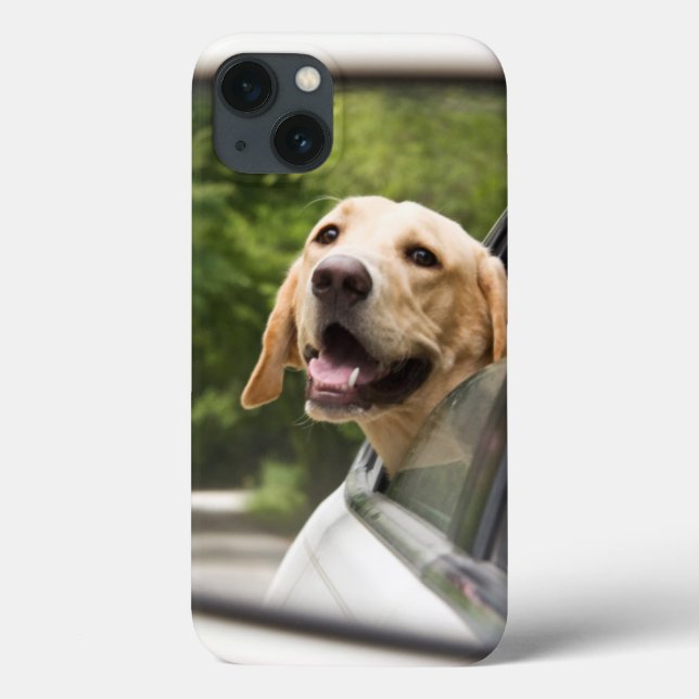Coques Case-Mate iPhone Golden Labrador En Réarview Mirror (Verso)