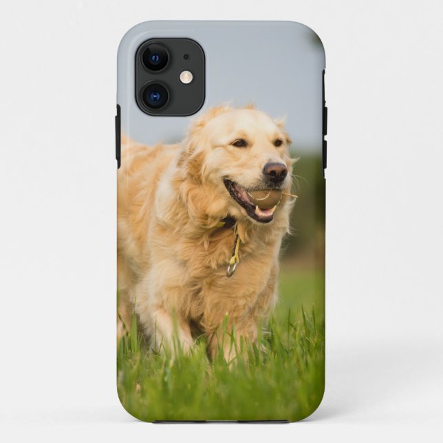 Coques Case-Mate iPhone Golden Retriever (Dos)