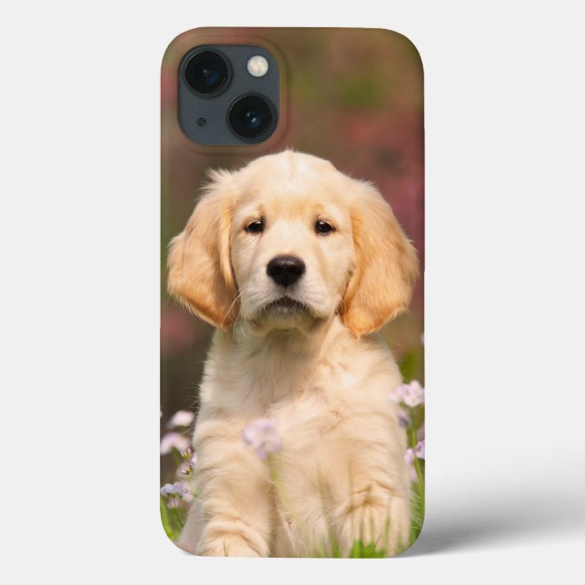 Coques Case-Mate iPhone Golden Retriever Chien Cute Goldie Puppy Portrait  (Verso)