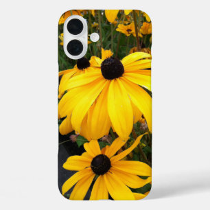 Coques iPhone 16 Plus Golden Rudbeckia Black Eyed Susan Flowers