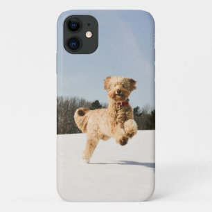 Case-Mate iPhone Case Goldendoodle Traversant Le Champ